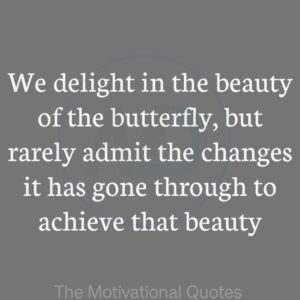 “We delight in the beauty of the butterfly, but rarely admit the changes it has gone through to achieve that beauty.” ―Maya
