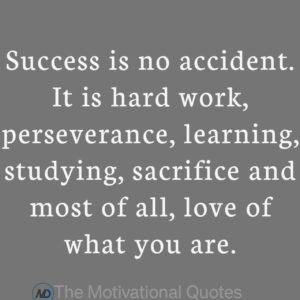 “Success is no accident. It is hard work, perseverance, learning, studying, sacrifice and most of all, love of what you are